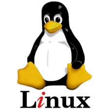 Linux penguin